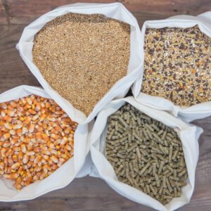 Animal Feeds & Medicine